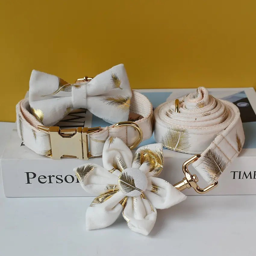 Ensemble collier et laisse gravé Daisy Bloom, personnalisable