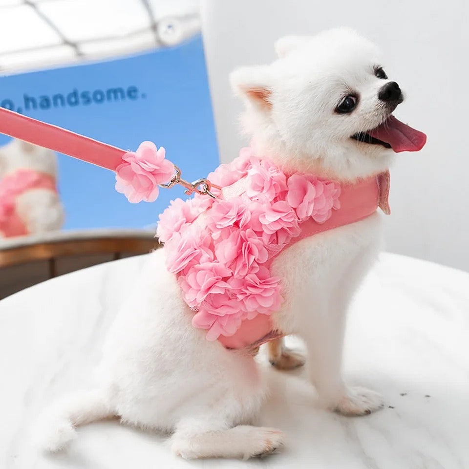 Ensemble harnais et laisse Fleurs de cerisier pour chien