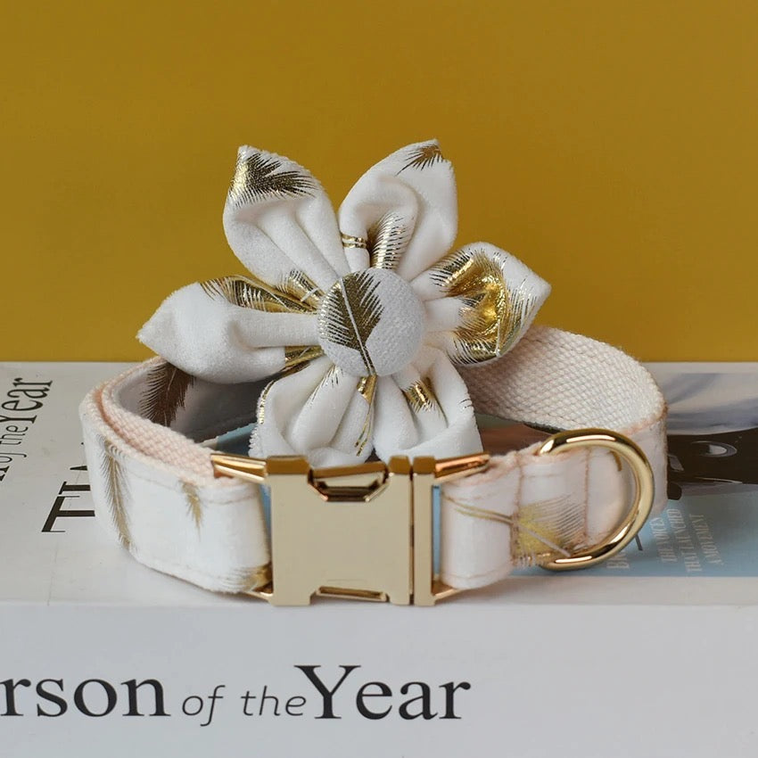 Ensemble collier et laisse gravé Daisy Bloom, personnalisable