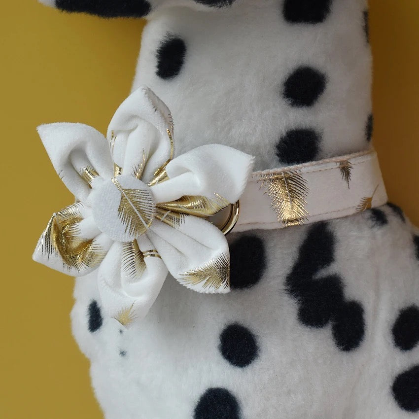 Ensemble collier et laisse gravé Daisy Bloom, personnalisable