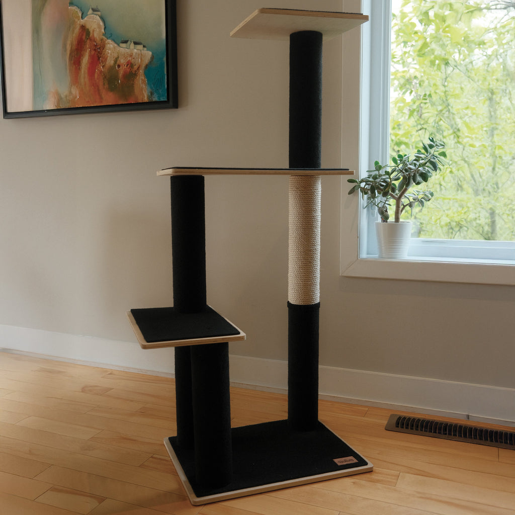 Arbre à chat moderne en contreplaqué Noba, 3 niveaux