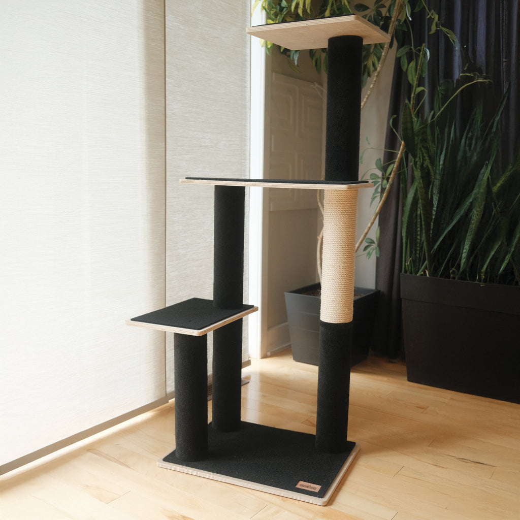 Arbre à chat moderne en contreplaqué Noba, 3 niveaux