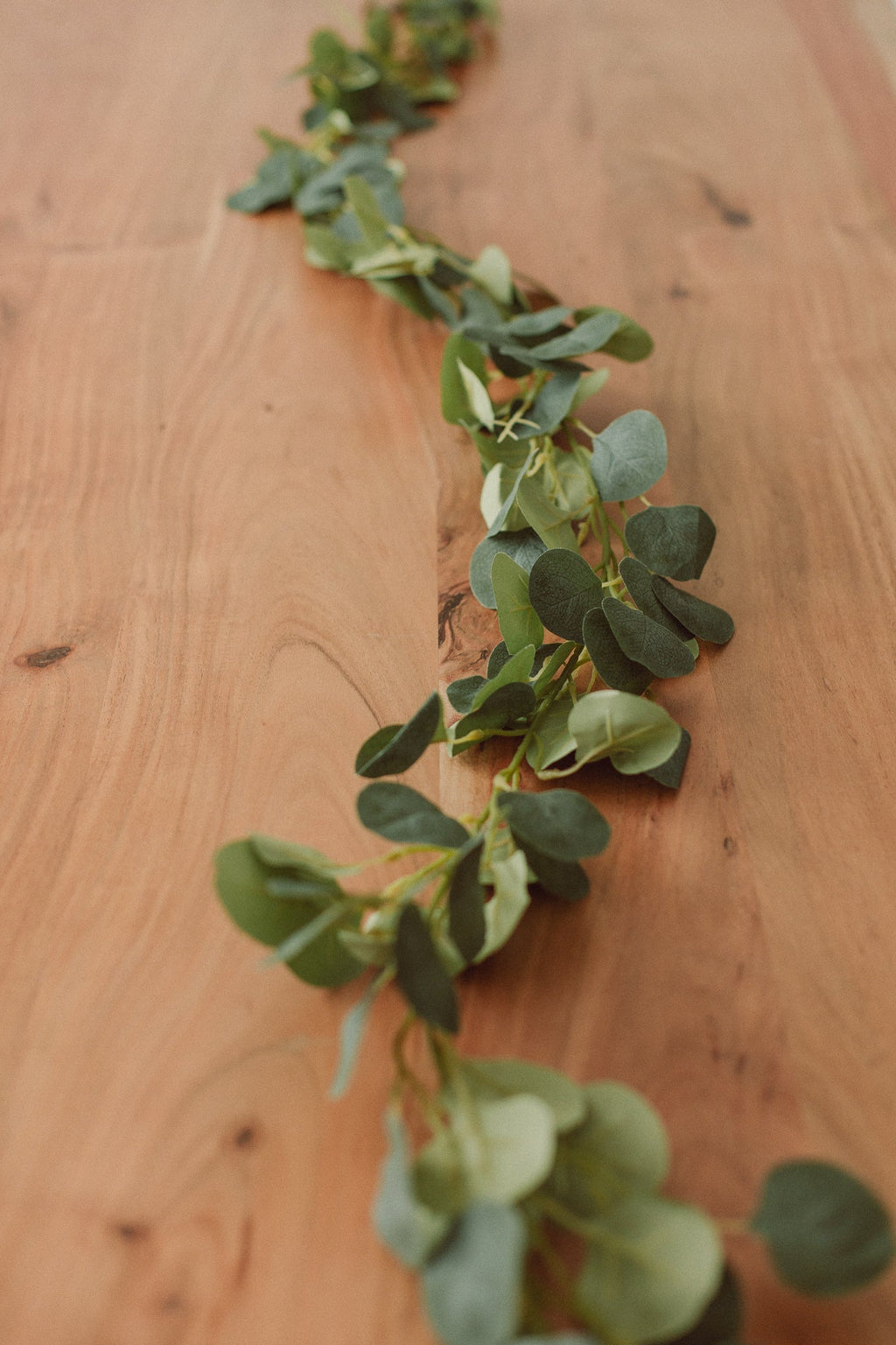 Guirlande d'eucalyptus artificielle, 6 pi