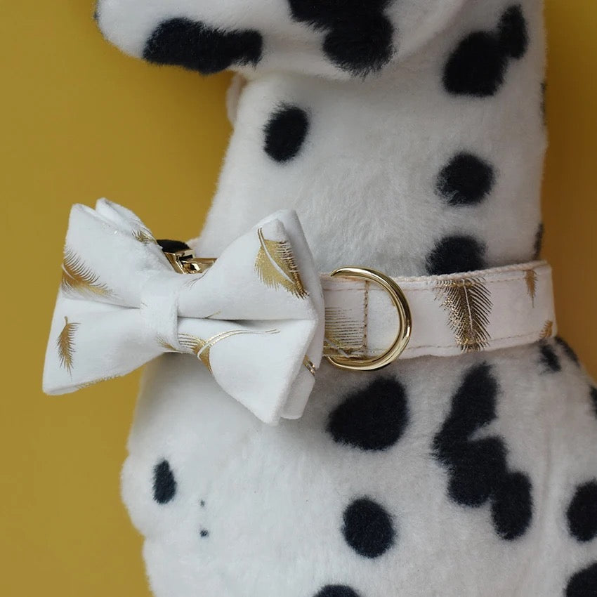 Ensemble collier et laisse gravé Daisy Bloom, personnalisable