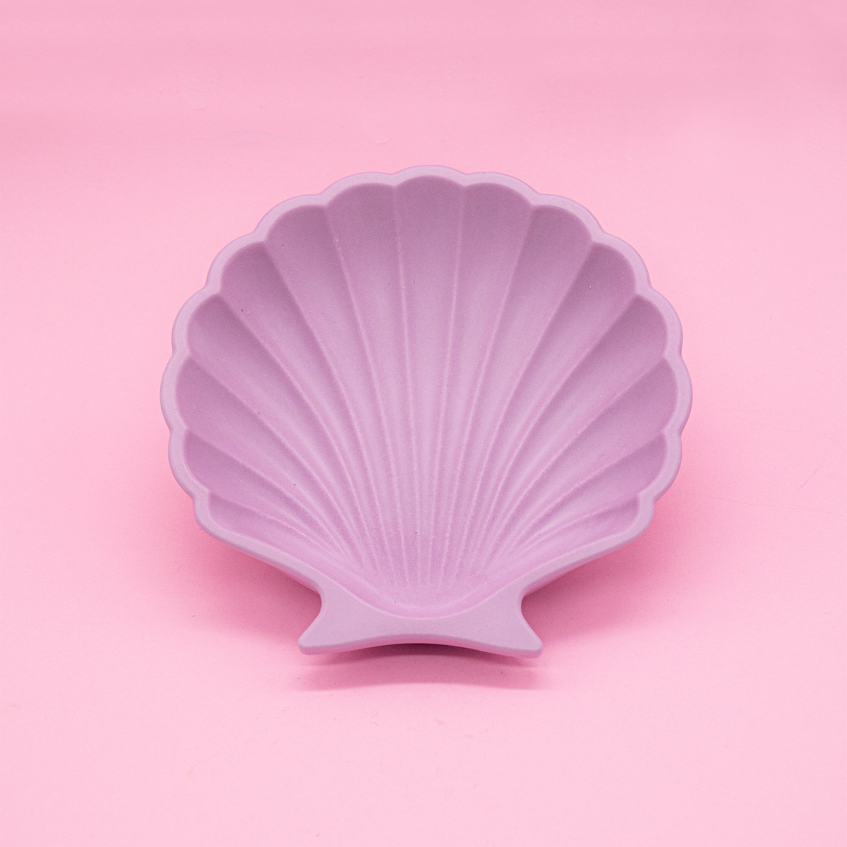 Coupelle coquillage pour bijoux