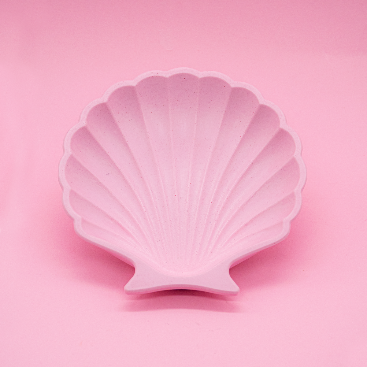 Coupelle coquillage pour bijoux