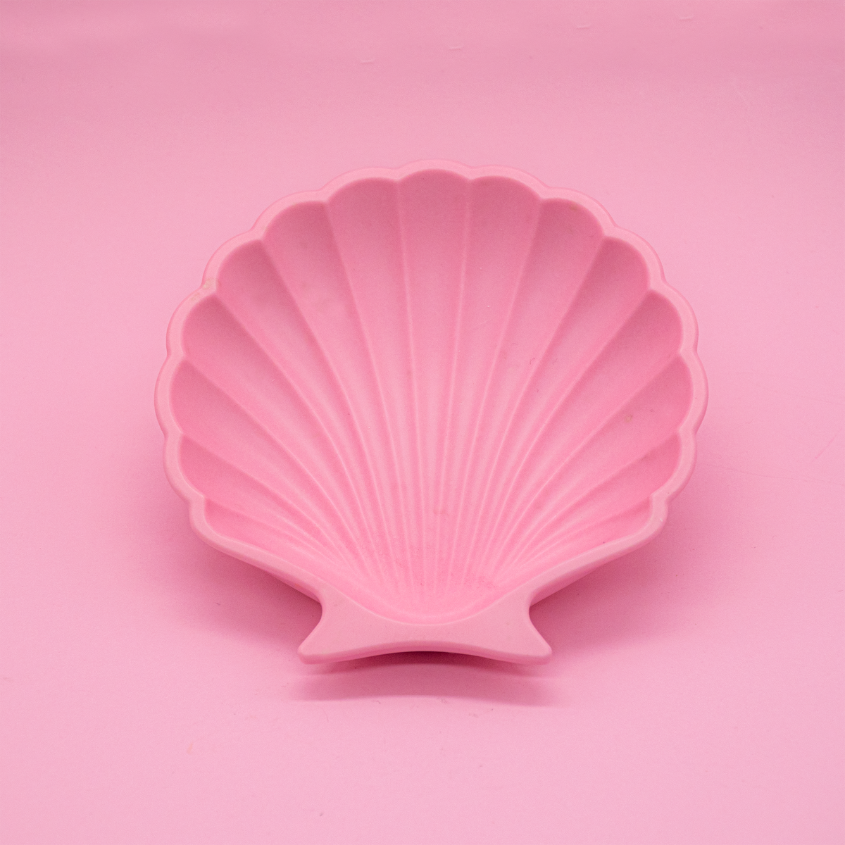 Coupelle coquillage pour bijoux