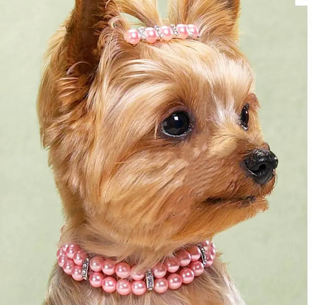Collier décoratif Princess Pearl pour chien, rose