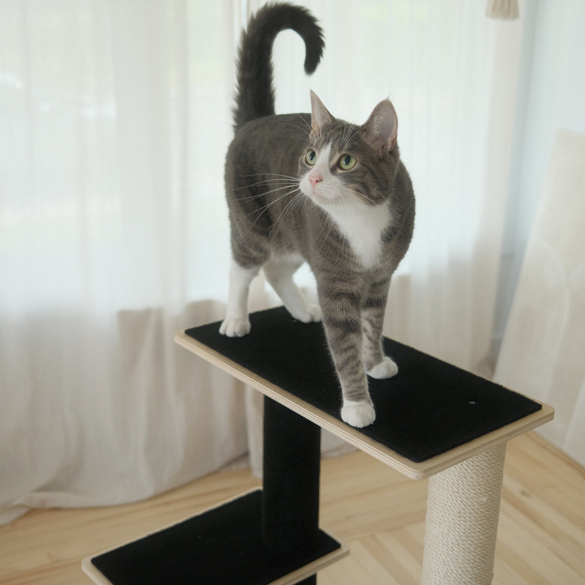 Arbre à chat moderne en contreplaqué Noba, 2 niveaux