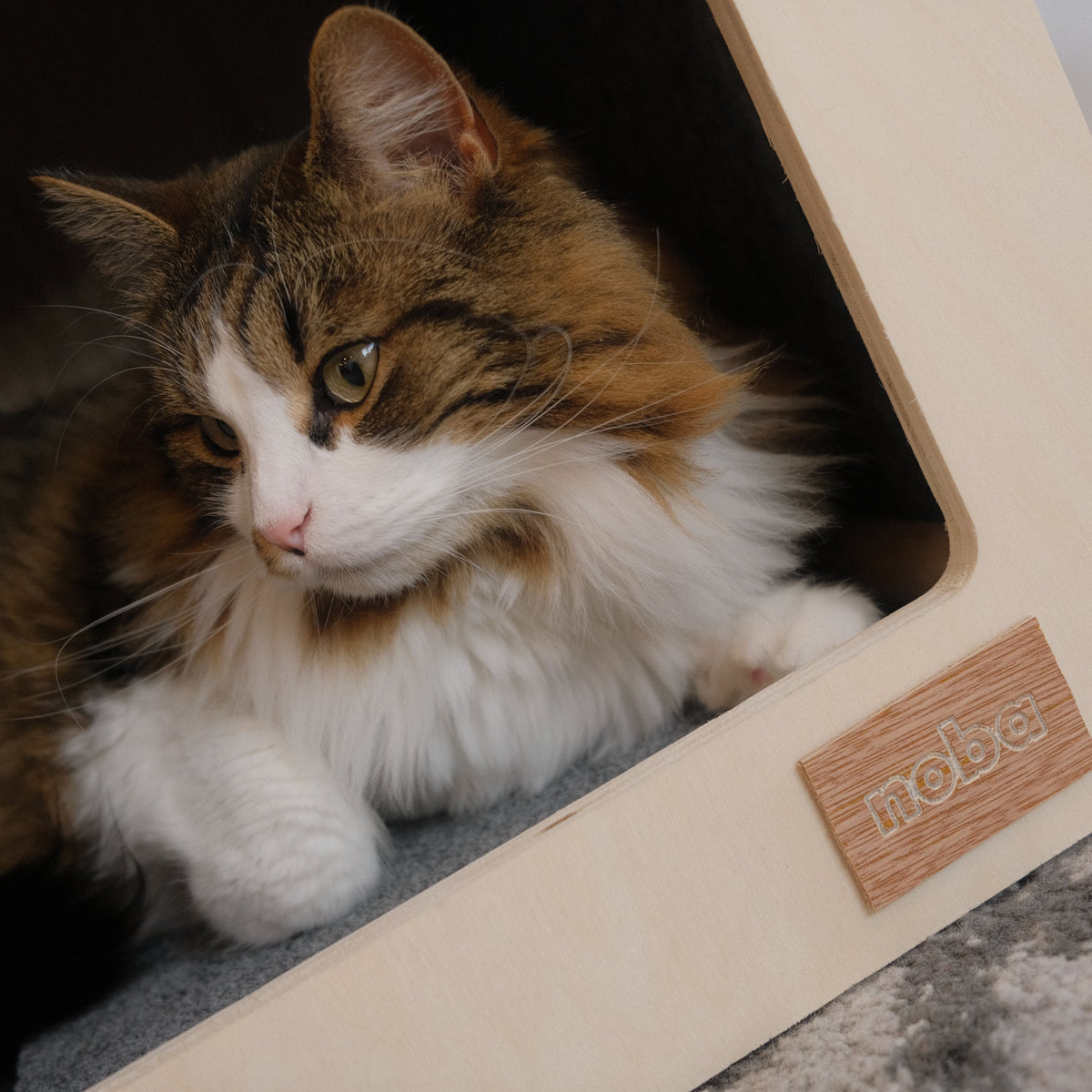 Maison pour animaux Urban Hut, Noba