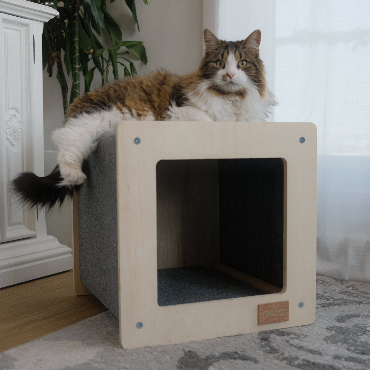 Maison pour animaux Urban Hut, Noba