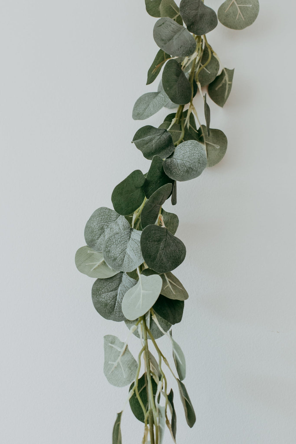 Guirlande d'eucalyptus artificielle, 6 pi